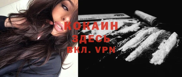 шишки Кодинск