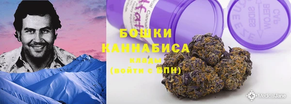 apvp Козельск