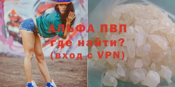 шишки Кодинск
