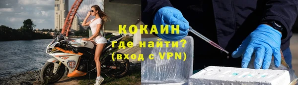шишки Кодинск