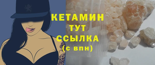 шишки Кодинск