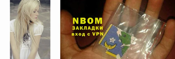 шишки Кодинск