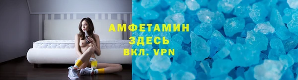 шишки Кодинск