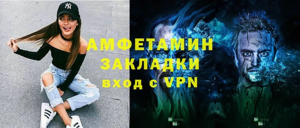 шишки Кодинск