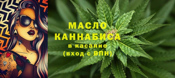 шишки Кодинск