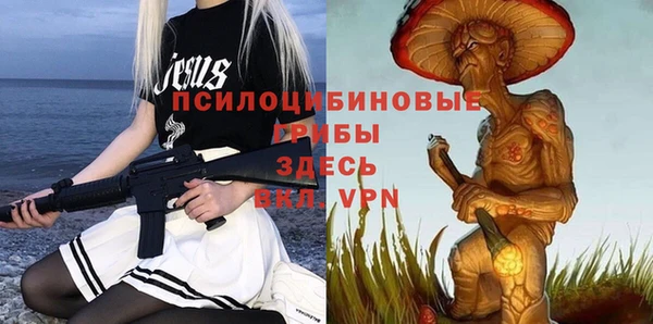 apvp Козельск