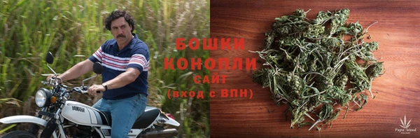 шишки Кодинск