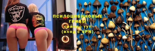 шишки Кодинск