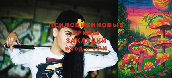 apvp Козельск