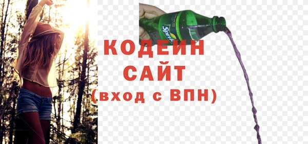 шишки Кодинск