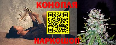 крисы Жуковский