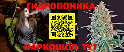 крисы Жуковский
