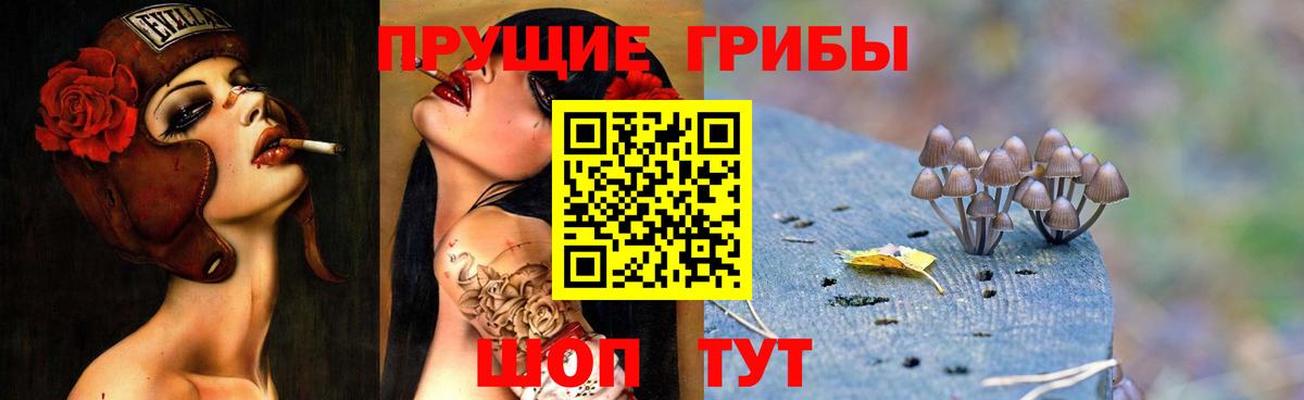 Псилоцибиновые грибы MAGIC MUSHROOMS  Вход с VPN  Галлюциногенные грибы Magic Shrooms  Керчь 